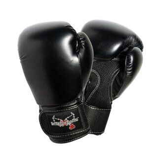 Black 12-Ounce Boxing Gloves (1 Pair) - BNWOT